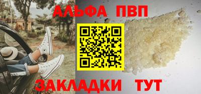 мет Кингисепп
